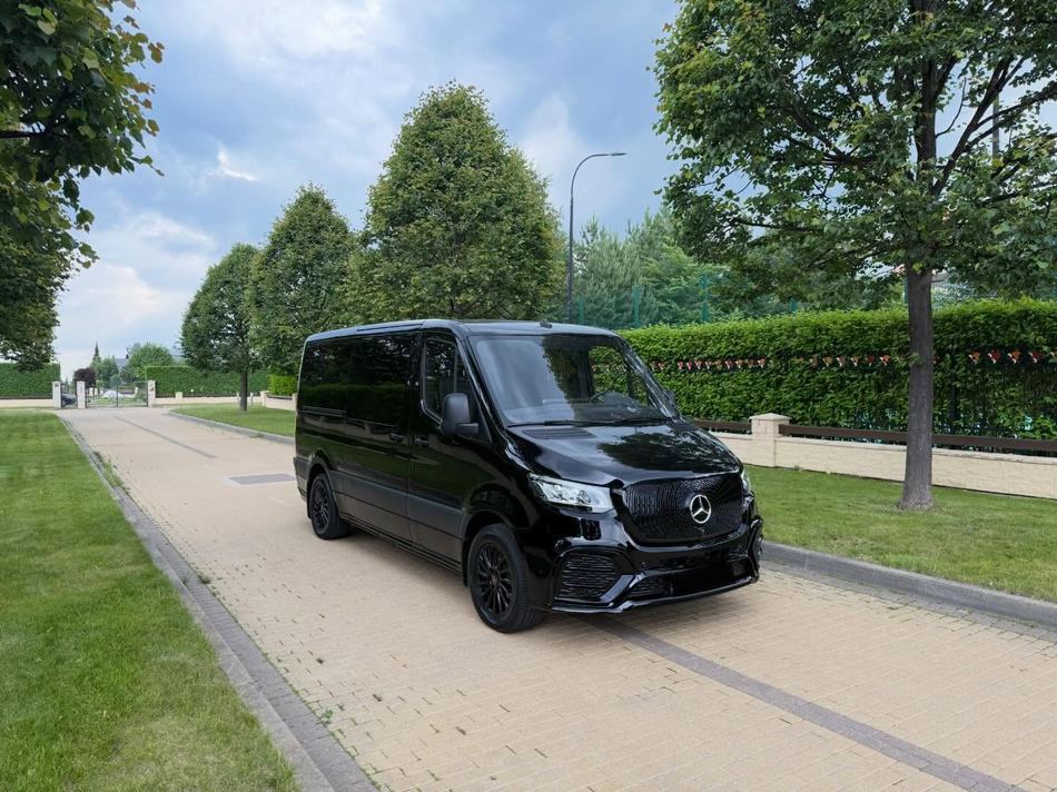 Mercedes Sprinter of Positano Limo Service